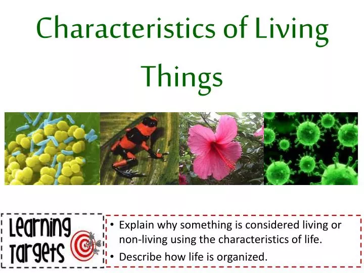 Characteristics Of Living Things Chart