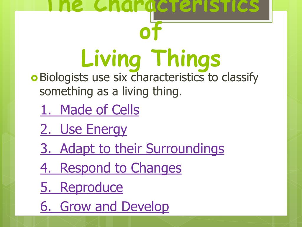 PPT - The Characteristics of Living Things PowerPoint Presentation ...