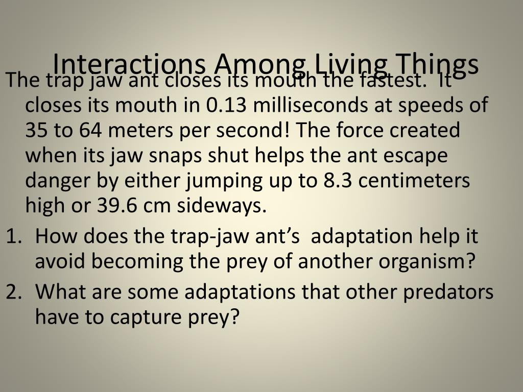 PPT - Interactions Among Living Things PowerPoint Presentation, free ...