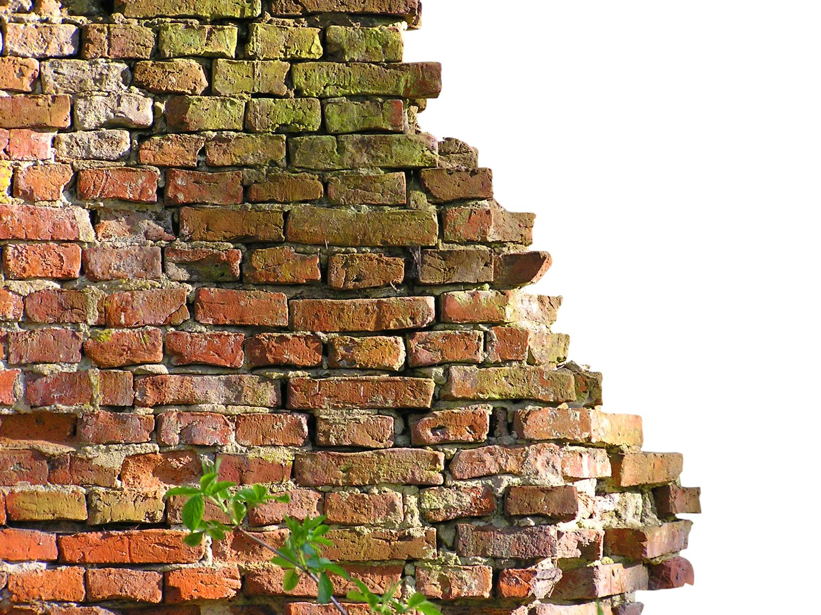 Wall Free Photo Download | FreeImages