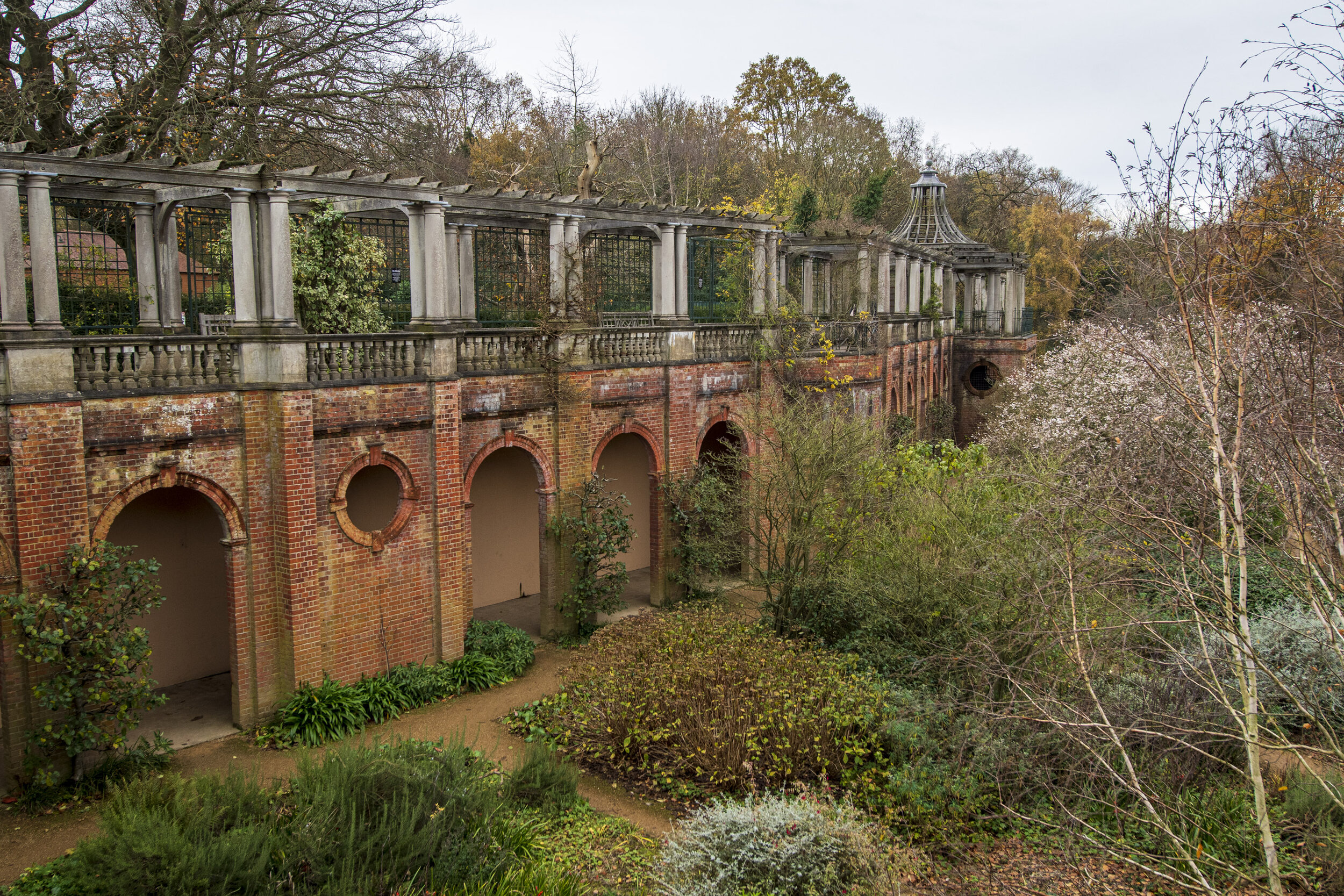 An Autumn Stroll through Hampstead Heath — Aperture Tours