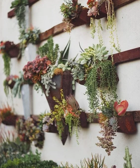 Living Wall Tips and Tricks — HomeSource Design Center