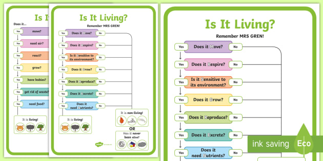 Living and Non-Living Things | How Do Living Things Grow?