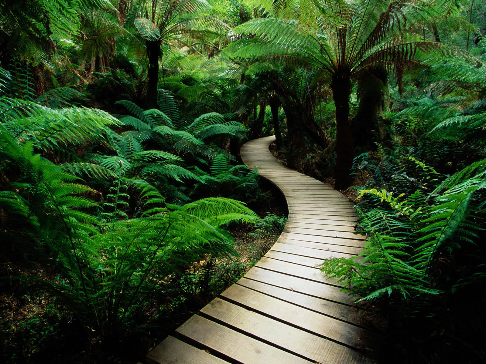 Nature - Random Wallpaper (4657919) - Fanpop