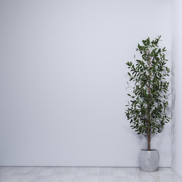 Premium Photo | Indoor tree in the corner of the room