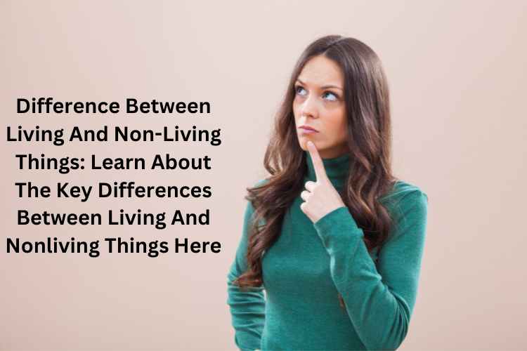 Difference Between Living And Non-Living Things: Learn About The Key ...