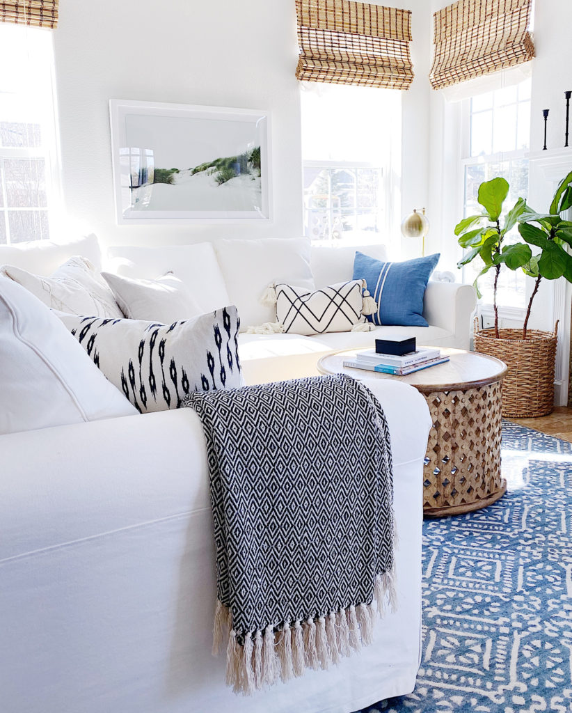 White And Blue Living Room