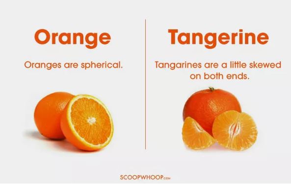 16 Things You Probably Think Are The Same, But Are Actually Different
