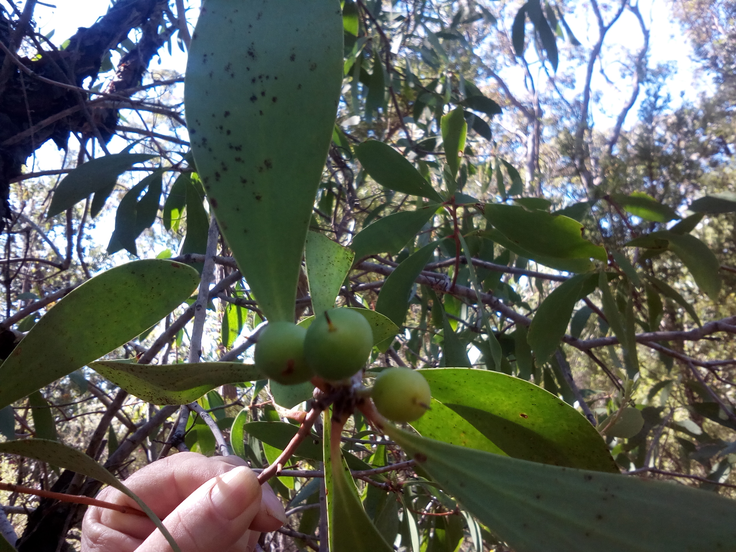 Sharing & Learning | Knowing In Nature
