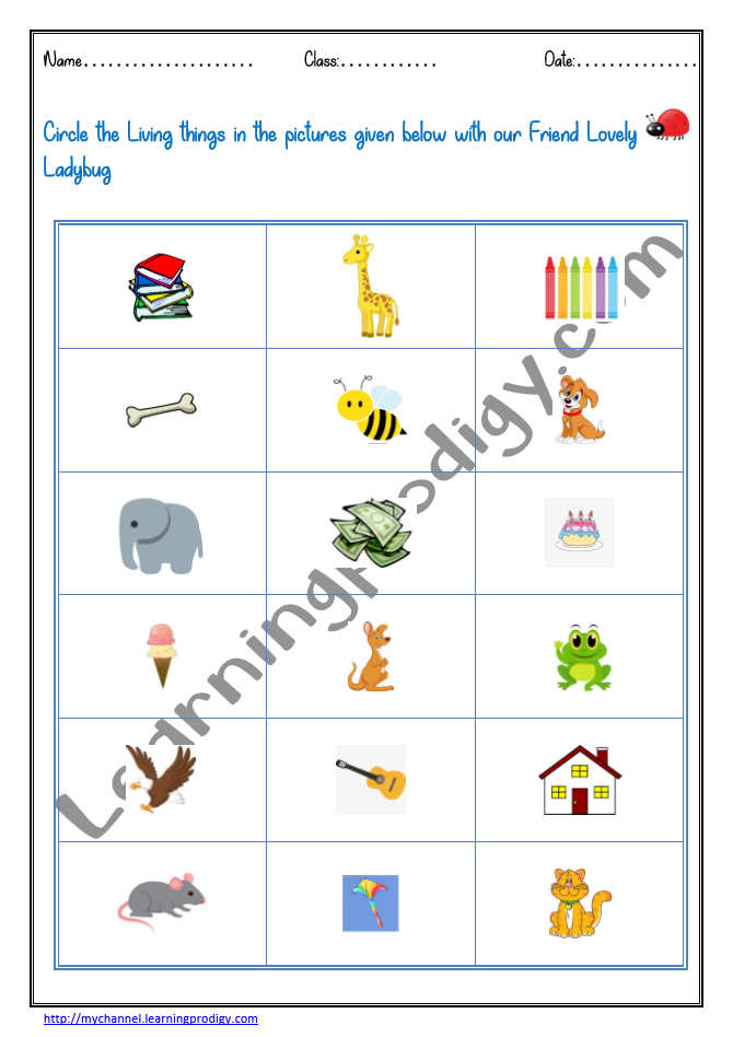Science Worksheet for Kids Archives - LearningProdigy