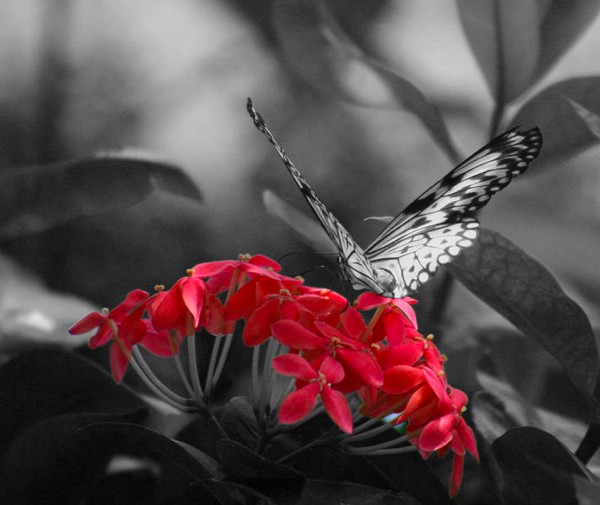 10 Fascinating Facts About Color - Listverse