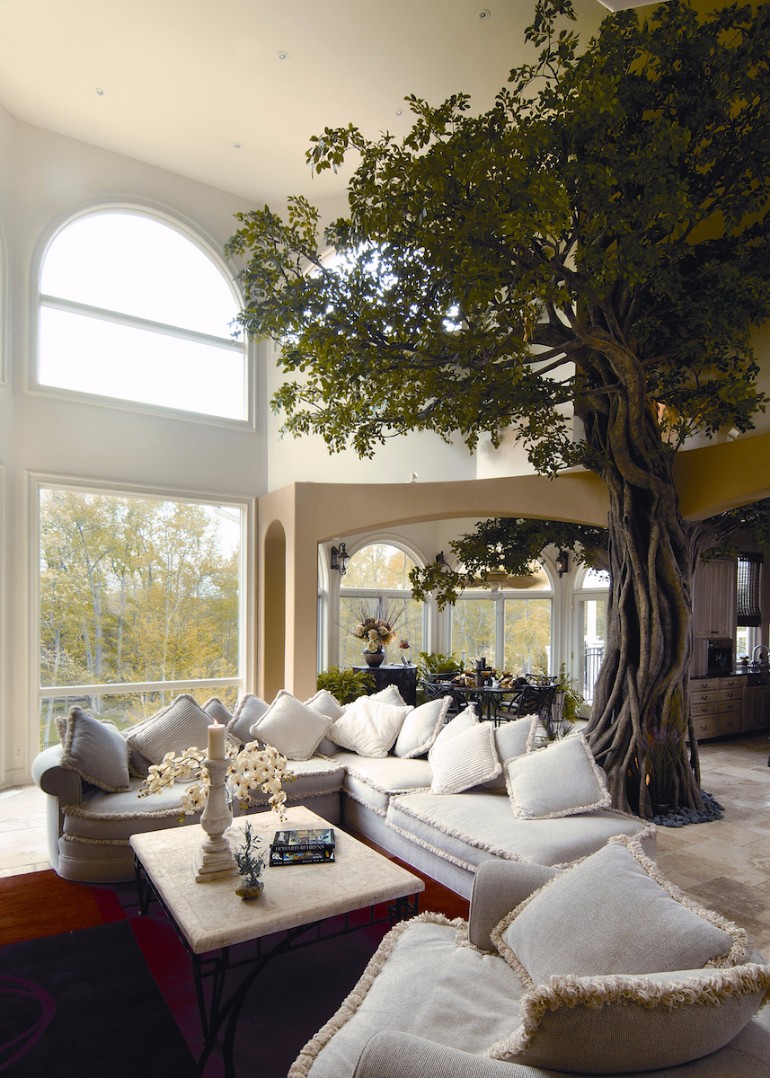 Indoor Trees Ideas For Your Living Room Decor