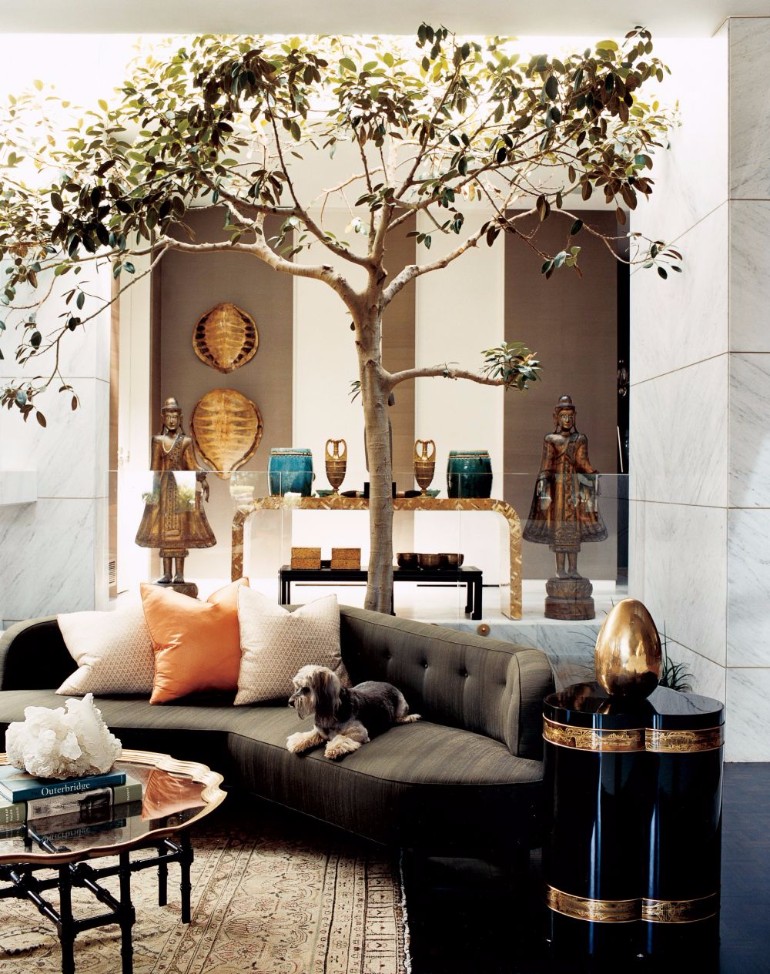 Indoor Trees Ideas For Your Living Room Decor