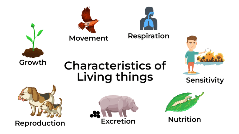 Living Things: Characteristics and Examples - GeeksforGeeks
