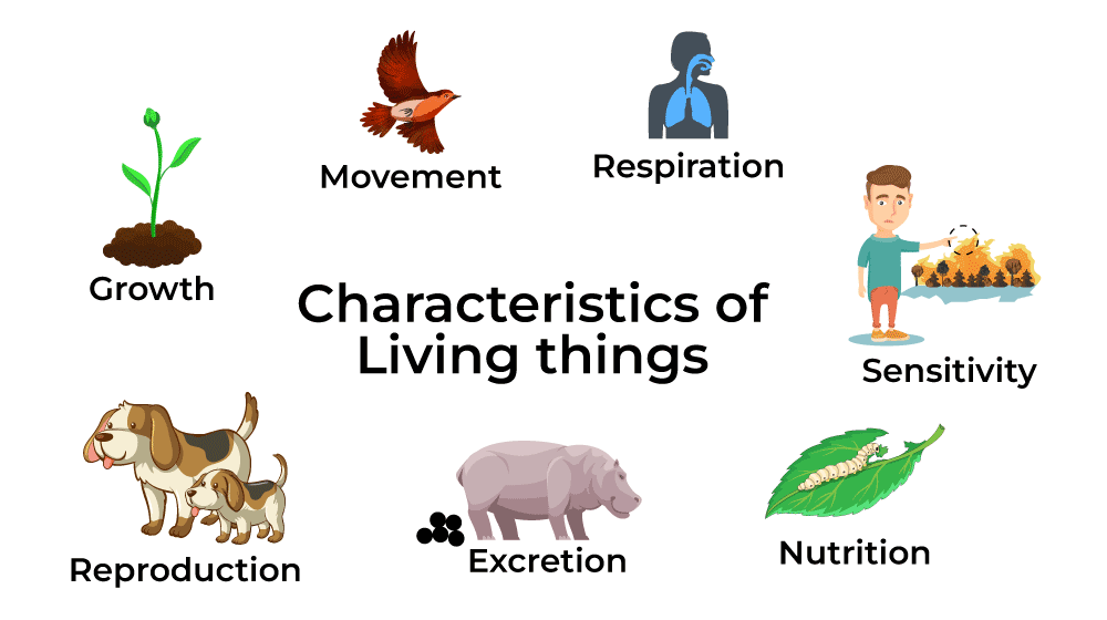 Living Things: Characteristics and Examples - GeeksforGeeks
