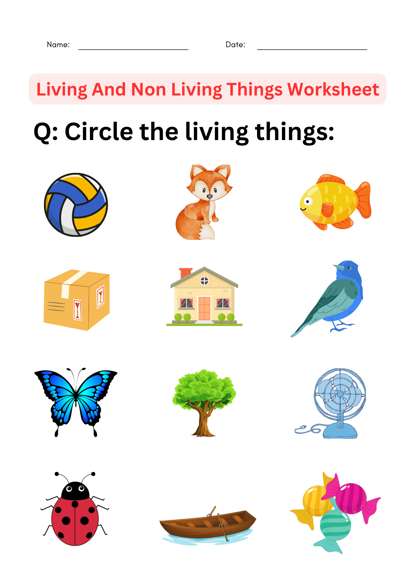 Living And Non-living Things Kindergarten