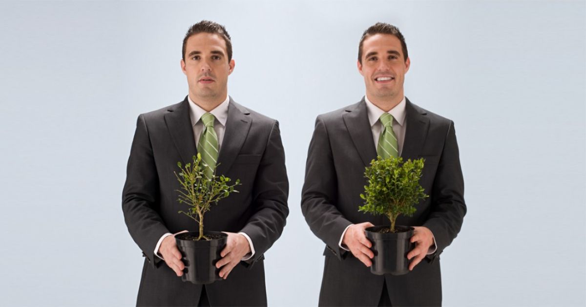 Plante verte : pourquoi il faut cultiver son jardin au bureau