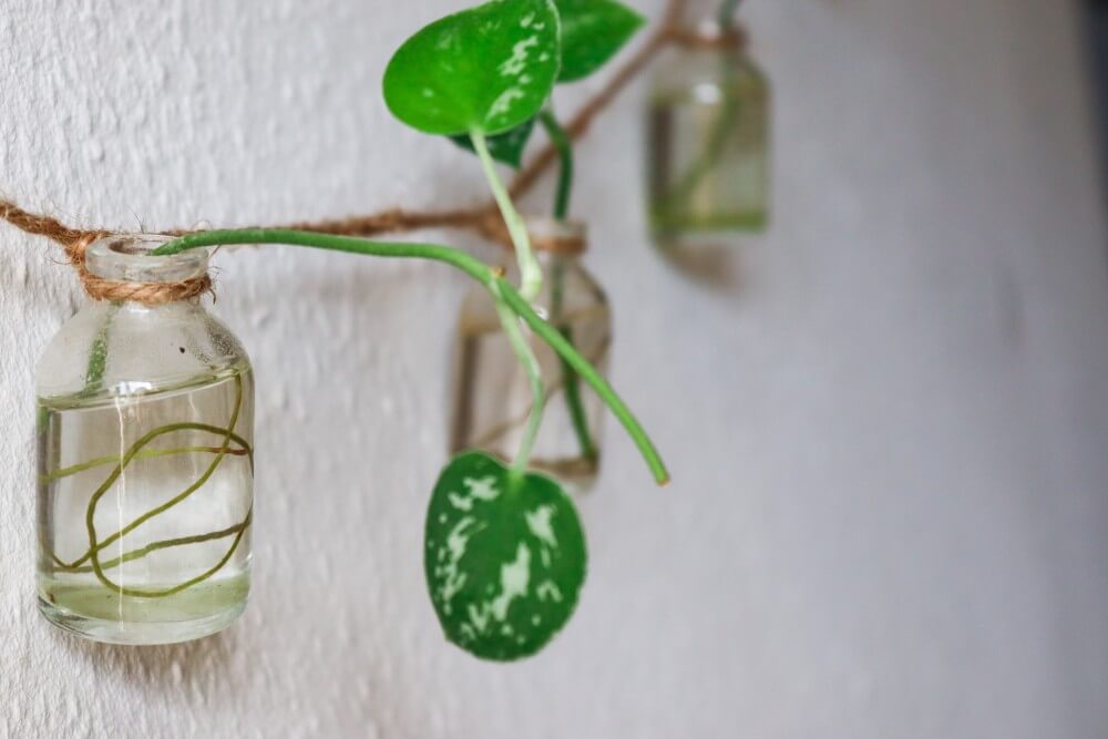 Essential rules and tips for living with less - Minimalism Basics