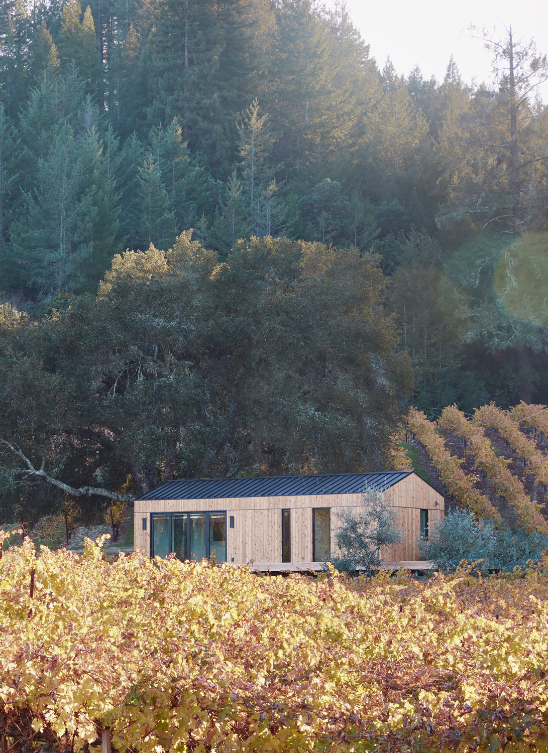 Dwell House | Norm Architects