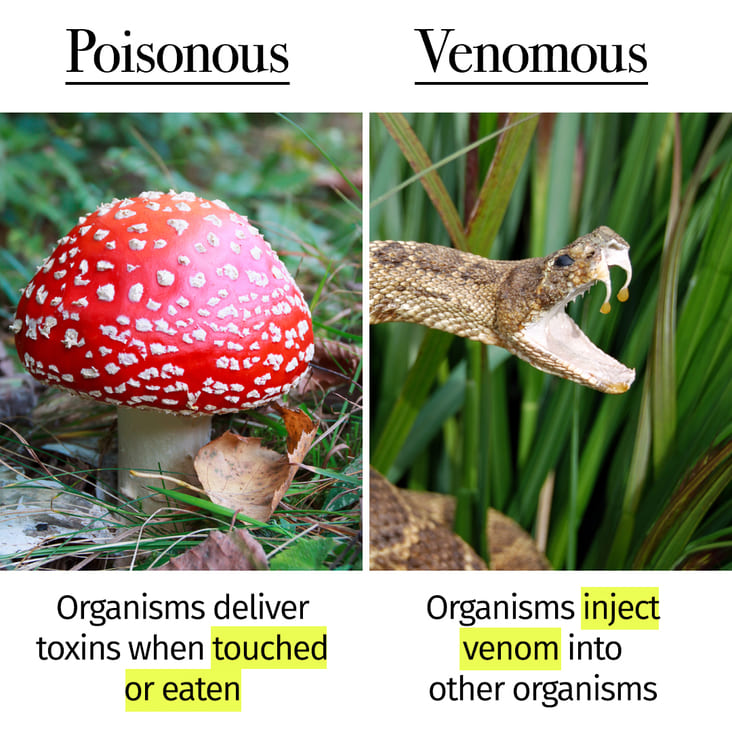 30+ Things People Think Are The Same But Are Completely Different