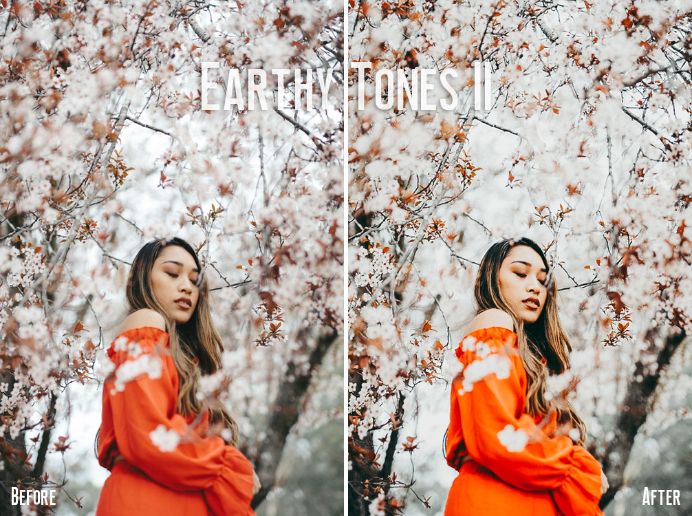 Earty Tones II – reddot-studio.com