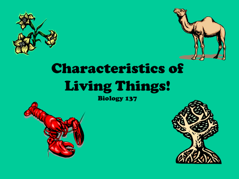 Characteristics of Living Things: Biology Presentation
