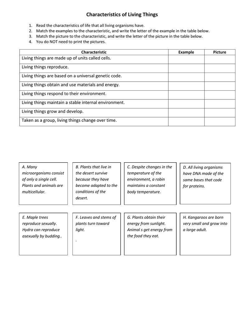 Characteristics of Living Things