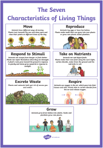 7 Characteristics of Living Things Quiz