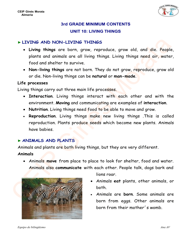 3rd Grade Living Things Worksheet: Animals & Plants