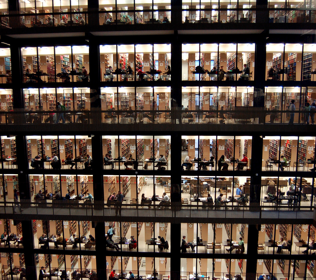 Reading: Functional Areas of Business | Ivy Tech Introduction to Business