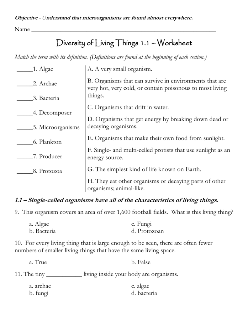 Characteristics Of Living Things Worksheet Grade 3