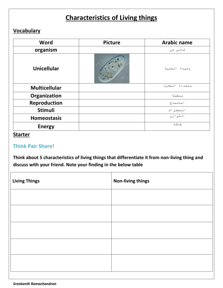 Characteristics of Living Things Worksheet