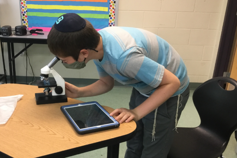 How to Introduce the Characteristics of Living Things - Science By Sinai