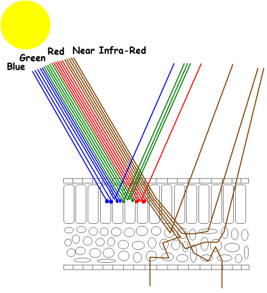 Remote Sensing and Geo-Information Technologies in Agriculture