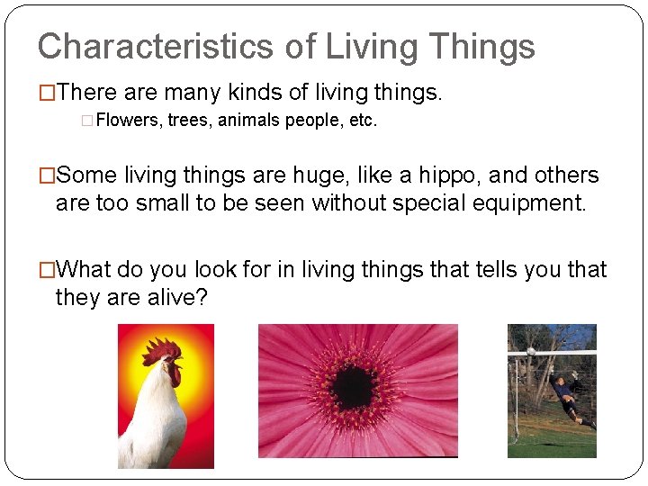 Characteristics of Living Things Characteristics of Living Things