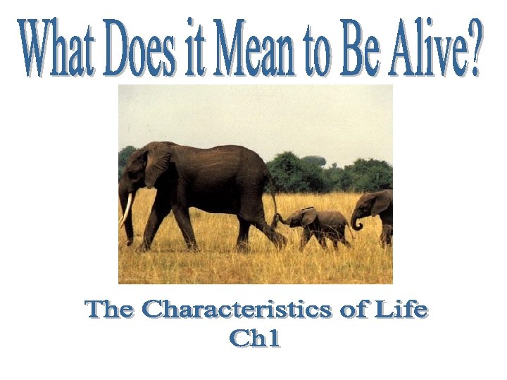 All living things share some basic properties Made