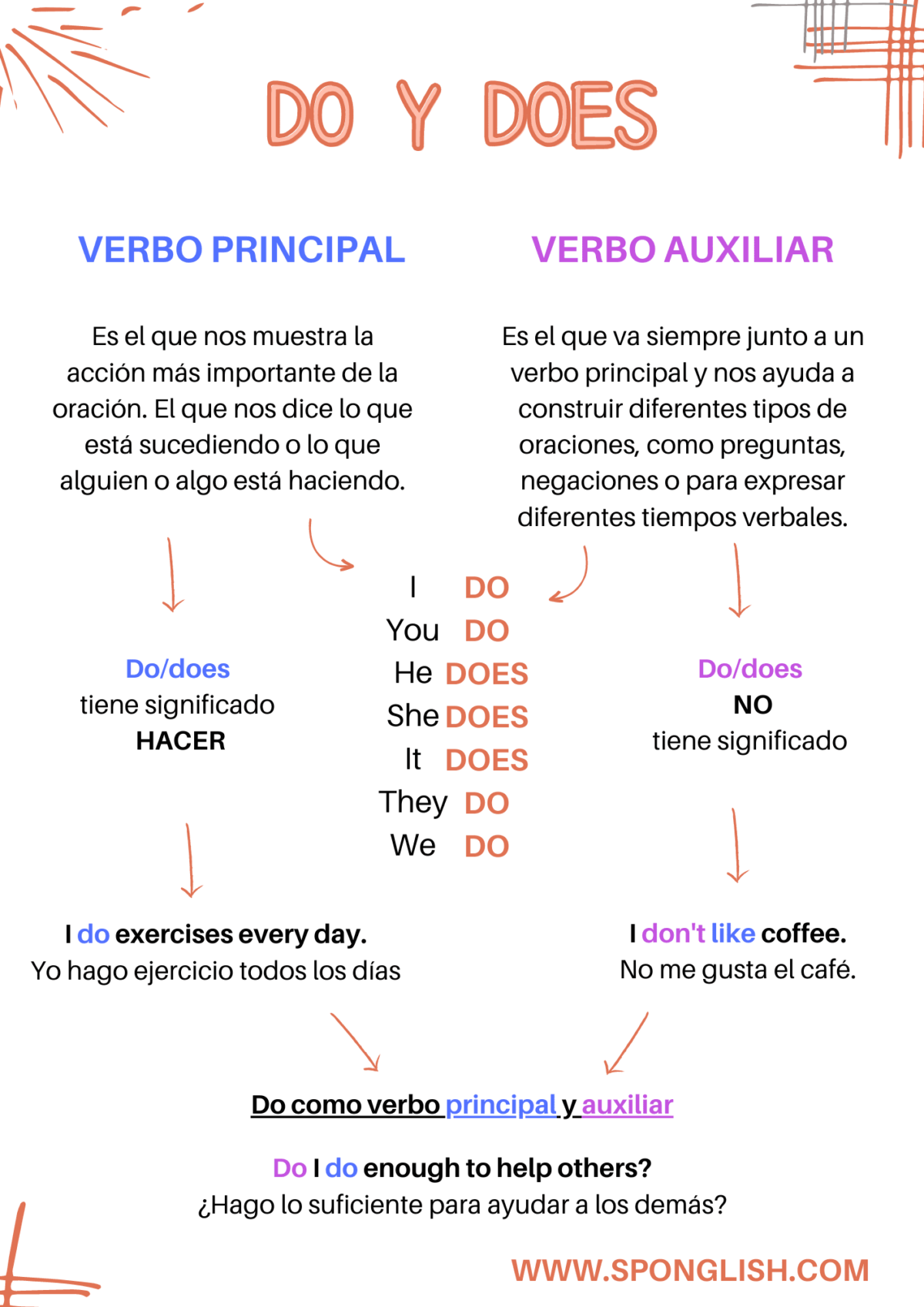 Uso del do y del does en inglés: todo lo que necesitas saber