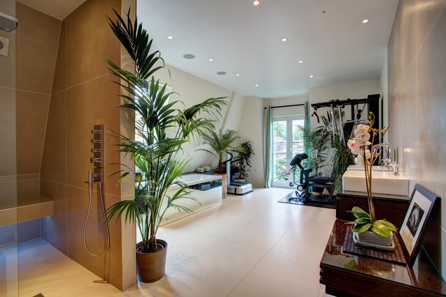 Indoor Plants For Living Room India | Baci Living Room