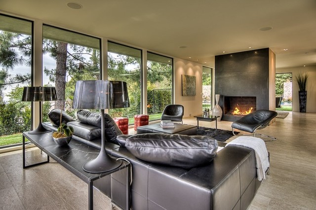 Sleek Modern Living Room