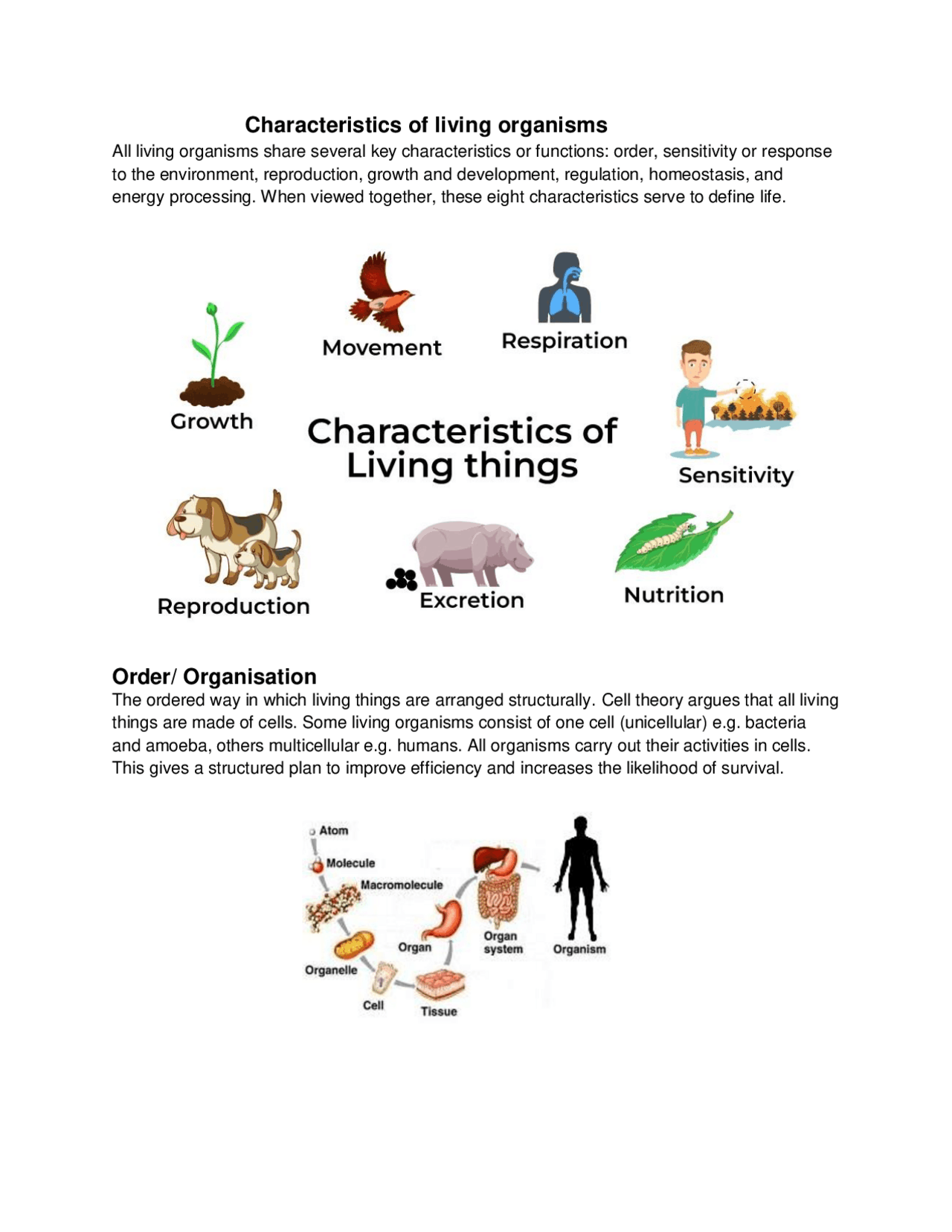 Characteristics of Living Organisms | Lecture notes Biology | Docsity