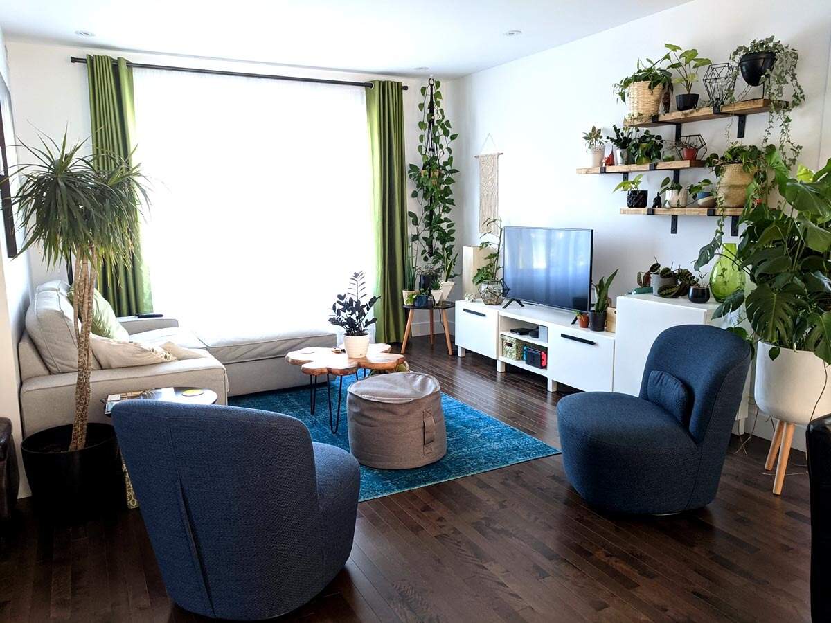 Indoor Plants India Living Room | Cabinets Matttroy