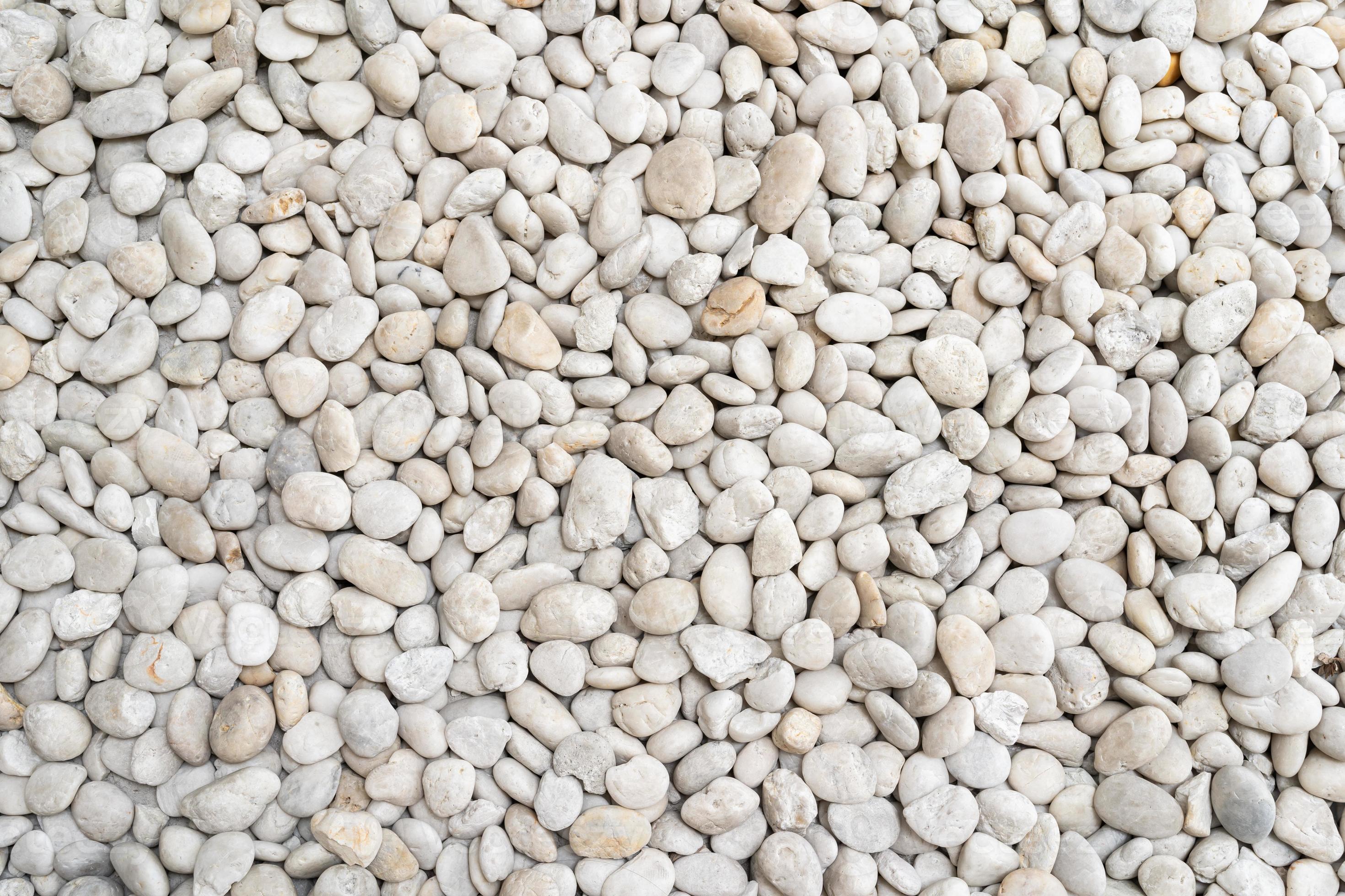 White pebble stone texture on the ground. The pebbles closely stone ...