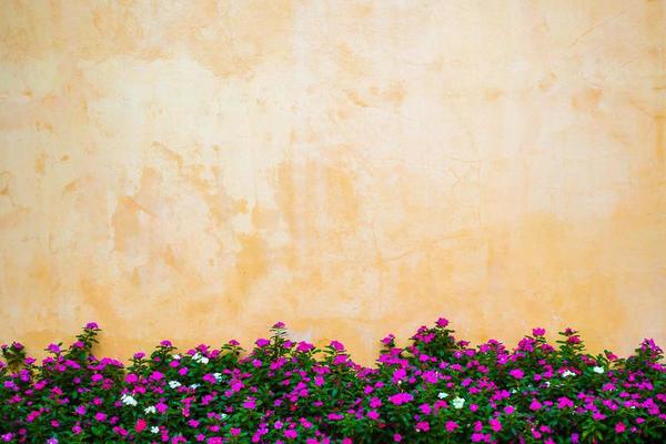 Beautiful Wall Stock Photos, Images and Backgrounds for Free Download