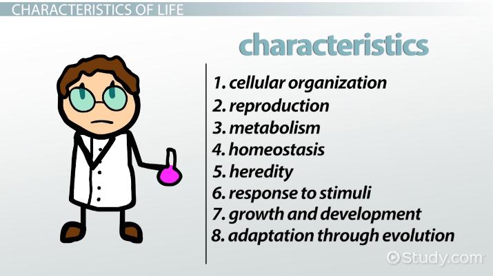 👍 8 characteristics of all living things. Characteristics of Living ...