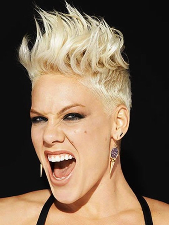 Pink Apologises To Fans / Slams Critics In Open Letter Following Tour ...