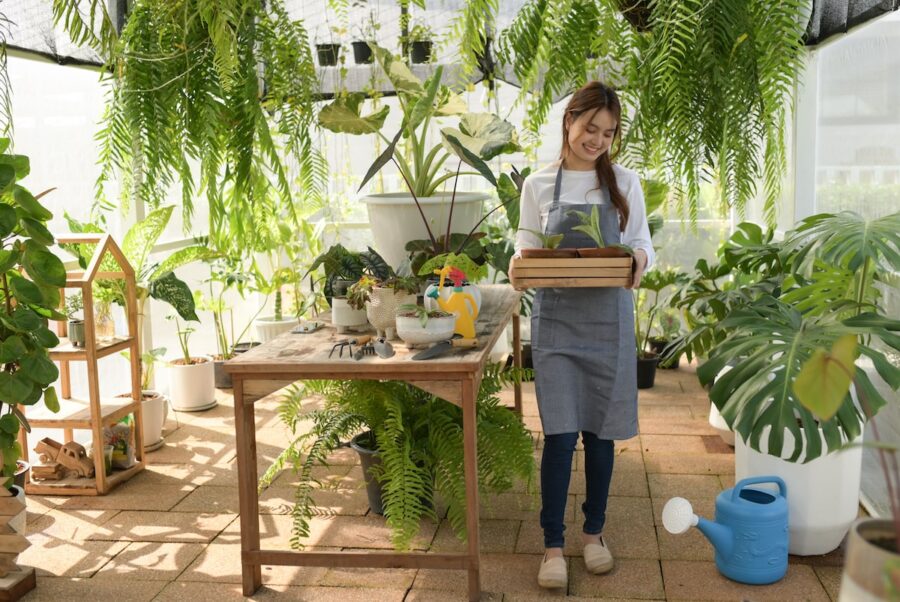 20 Best Indoor Trees For The Modern Home | TheFragrantGarden