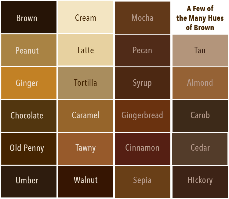 What And What Makes Brown at Eve Collie blog
