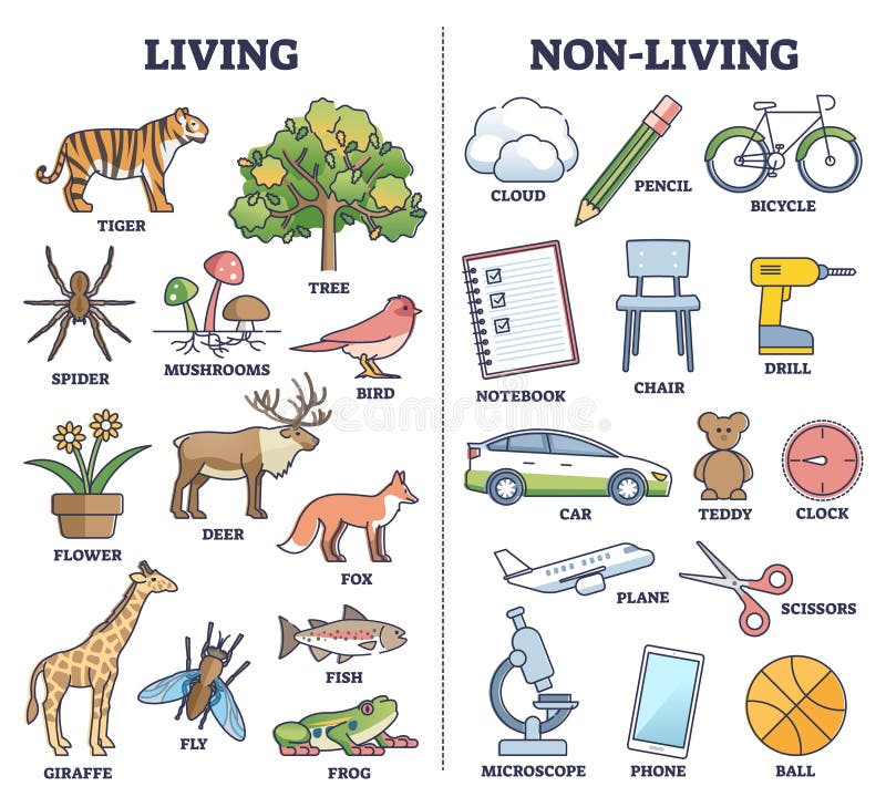 Living Vs Non Living Things Comparison for Kids Teaching Outline ...