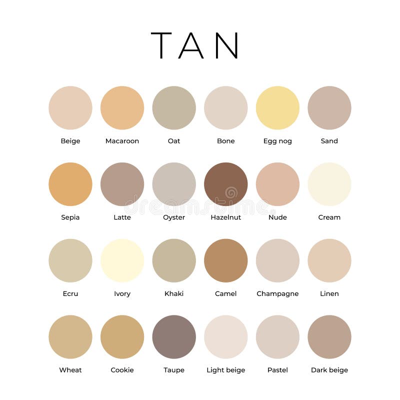 Beige Color Palette | ubicaciondepersonas.cdmx.gob.mx