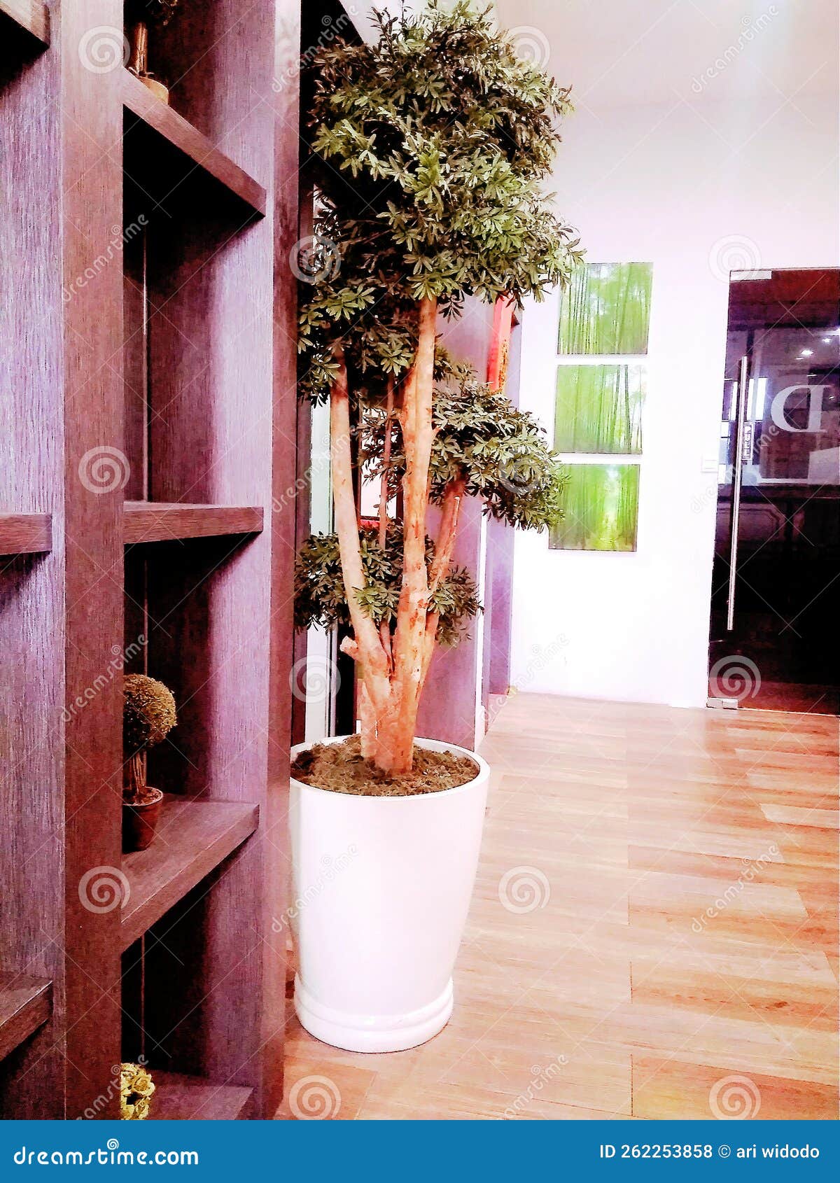 Beautiful Indoor Tree Love Natural Stock Photo - Image of table, house ...